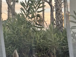 188-08-01-2026 IMG_3388